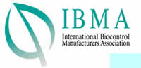 IBMA Logo